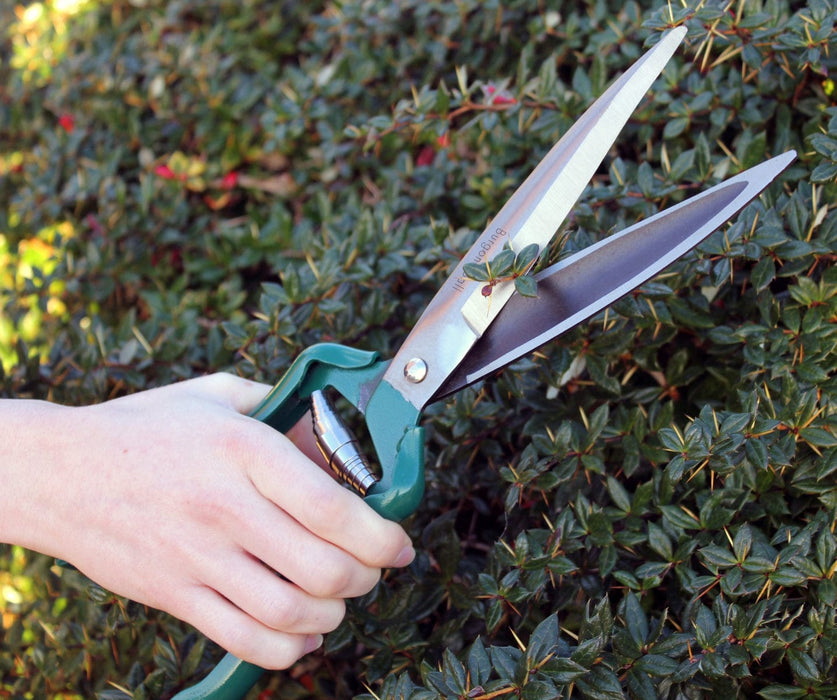 Burgon & Ball Garden Tools & Equipment - Shrub Shear - RHS Endorsed