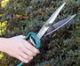 Burgon & Ball Garden Tools & Equipment - Shrub Shear - RHS Endorsed