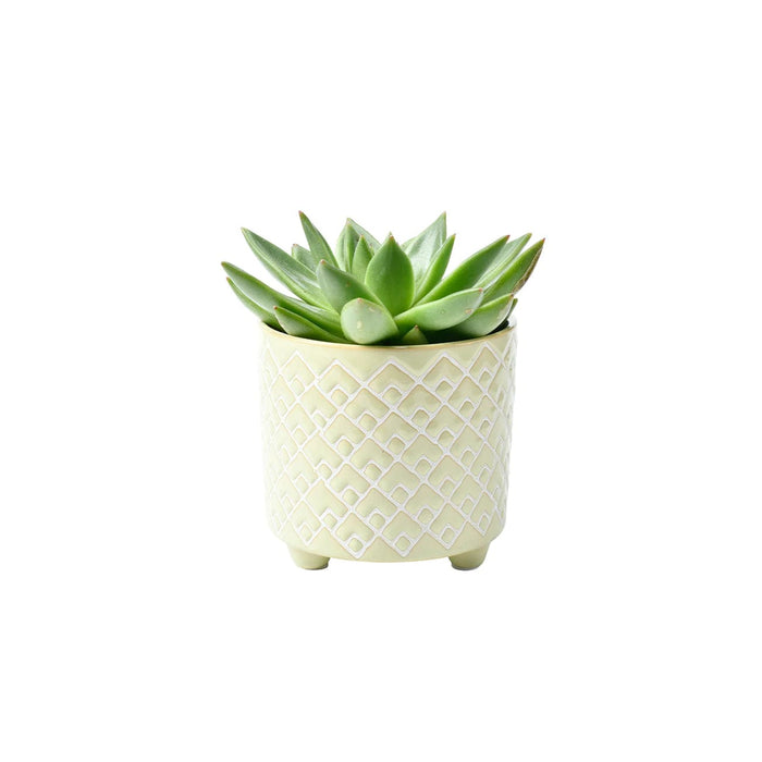 Burgon & Ball Indoor Plant Pots - Bilbao Pale Jade Glazed Pot - Small