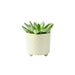Burgon & Ball Indoor Plant Pots - Bilbao Pale Jade Glazed Pot - Small