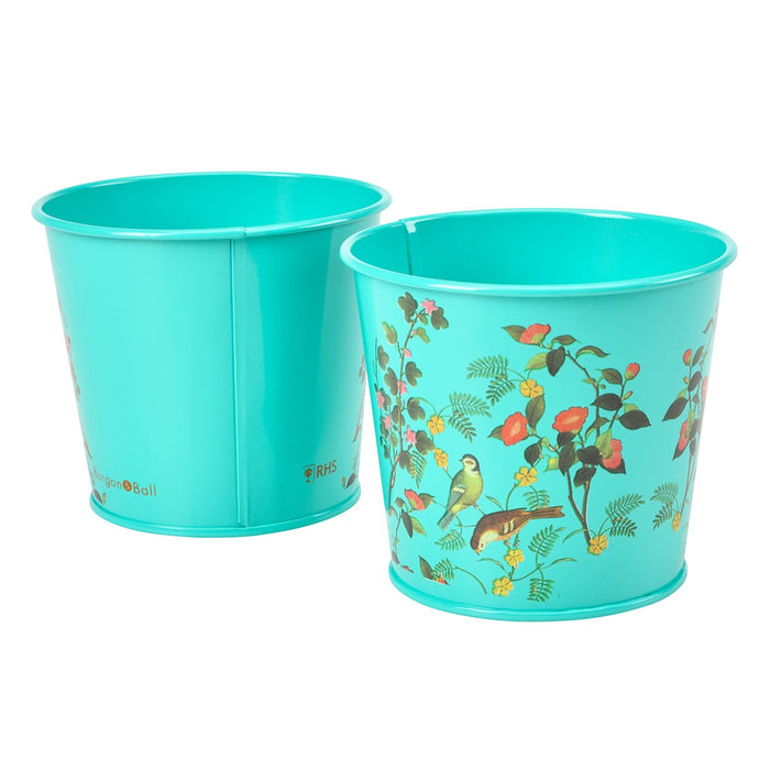 Burgon & Ball Indoor Plant Pots - Flora & Fauna Herb Pots