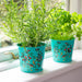 Burgon & Ball Indoor Plant Pots - Flora & Fauna Herb Pots