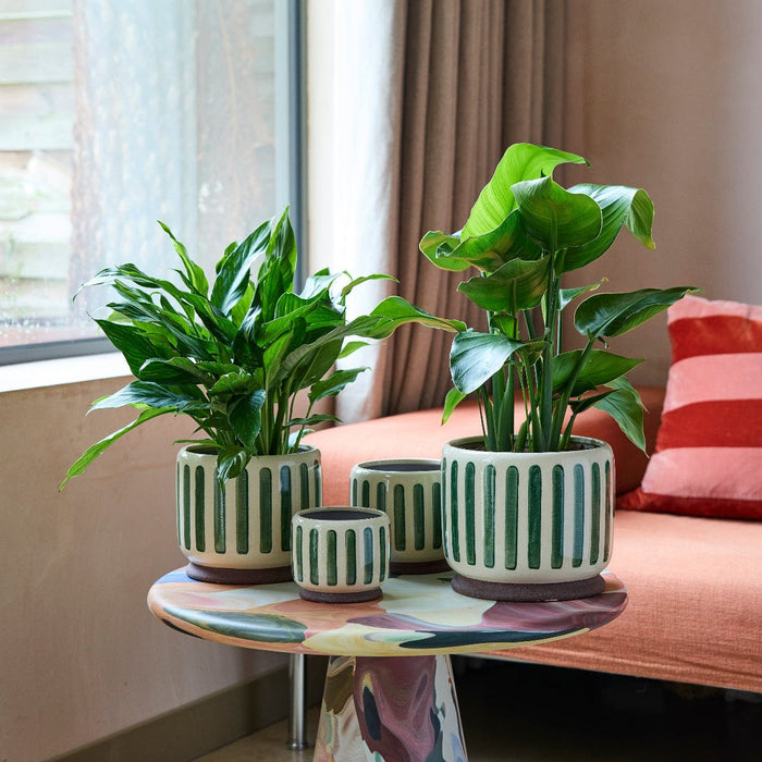 burgon and ball plant pots Burgon & Ball Glazed Pot