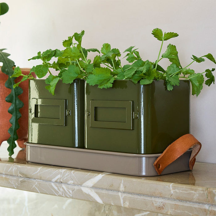 Burgon & Ball Indoor Plant Pots - Herb Pots - Olive