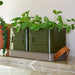 Burgon & Ball Indoor Plant Pots - Herb Pots - Olive