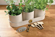 Burgon & Ball Indoor Plant Pots - Sophie Conran All About Herbs Set
