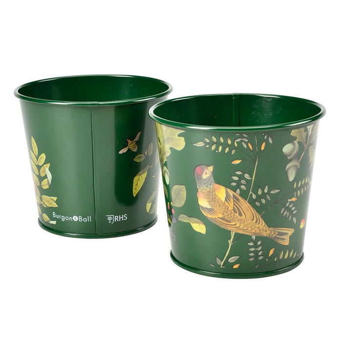 Burgon & Ball Indoor Plant Pots - Woodland Wonders Herb Pots