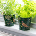 Burgon & Ball Indoor Plant Pots - Woodland Wonders Herb Pots