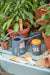Burgon & Ball Watering Cans - Passiflora Indoor Watering Can
