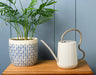 Burgon & Ball Watering Cans - Scalloped Indoor Watering Can - Mushroom