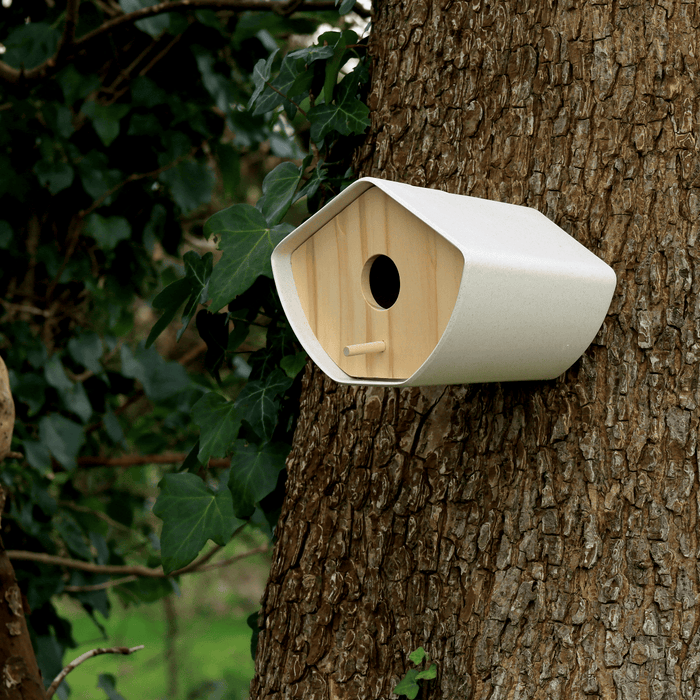 Earthy Sustainable Bird Houses & Tables - Earthy Japandi Birdhouse