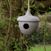 Earthy Sustainable Bird Houses & Tables - Nut Husks Earthy Hanging Acorn Birdhouse