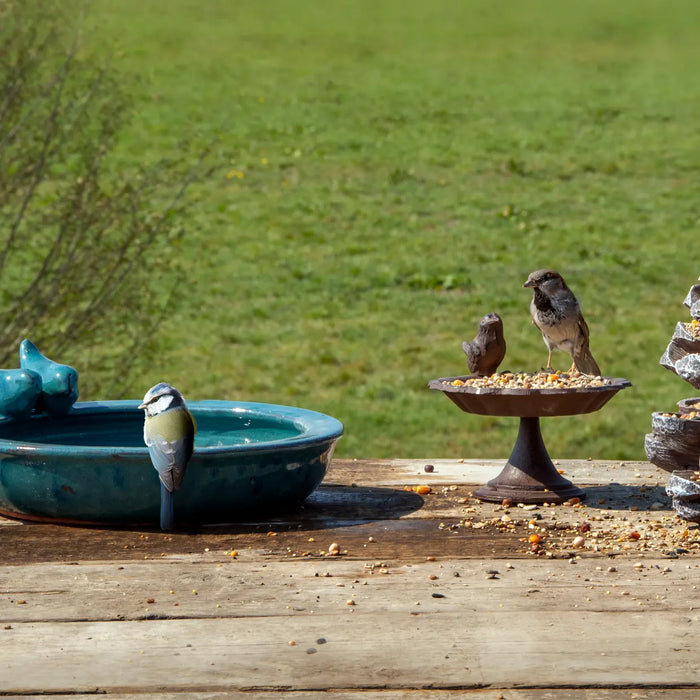 Esschert's Garden Bird Baths & Feeders - Decorative Ceramic Round Garden Bird Bath - Medium