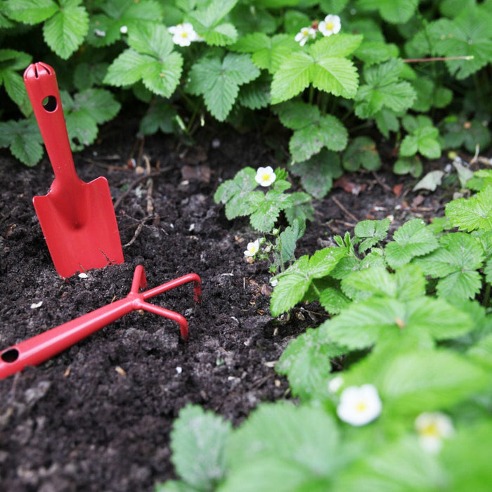 Esschert's Garden Garden Tools & Equipment - Pocket-sized Gardening Tool Set