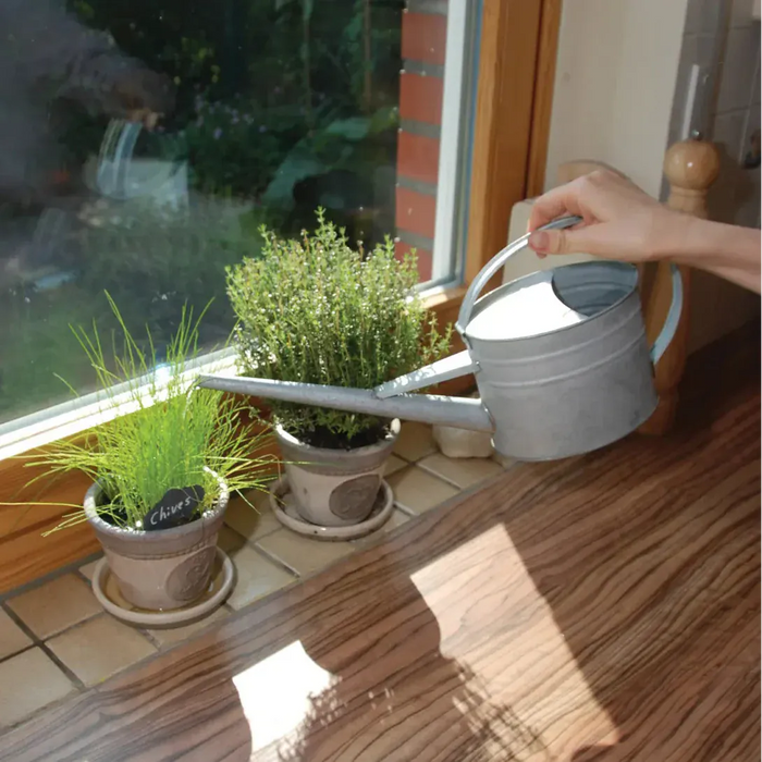 Esschert's Garden Garden Tools & Equipment - Zinc Indoor Watering Can