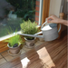 Esschert's Garden Garden Tools & Equipment - Zinc Indoor Watering Can