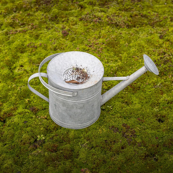 Esschert's Garden Garden Tools & Equipment - Zinc Outdoor Watering Can with Funnel