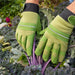 Esschert's Garden Gardening Gloves - Warm Lined Gardening Gloves