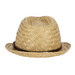 Esschert's Garden Headwear & Scarves - Trilby Straw Hat