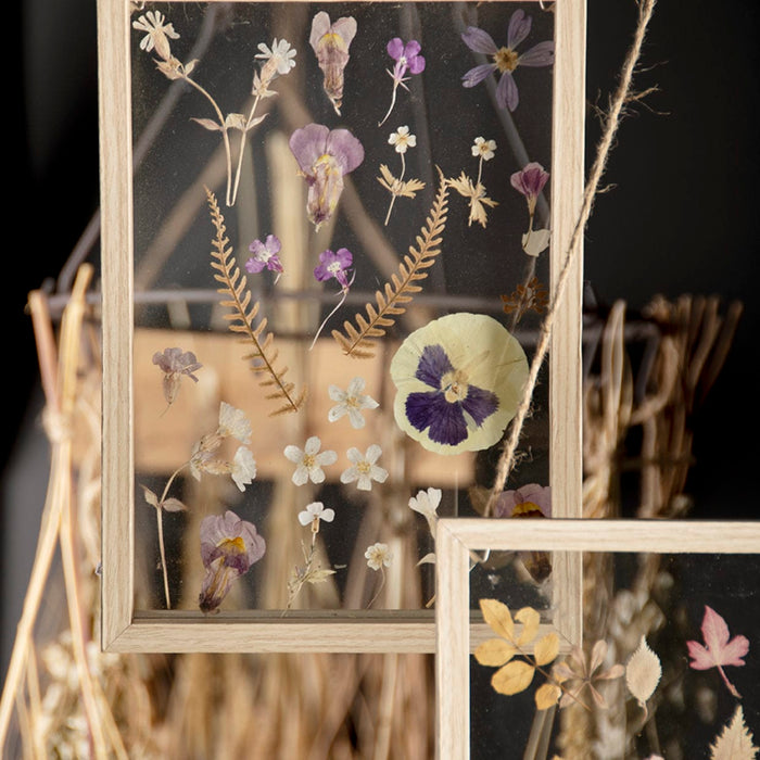 Esschert's Garden Indoor Decor - Glass Frame for Dried Flowers and Herbs (Large)