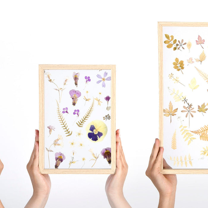 Esschert's Garden Indoor Decor - Glass Frame for Dried Flowers and Herbs (Small)