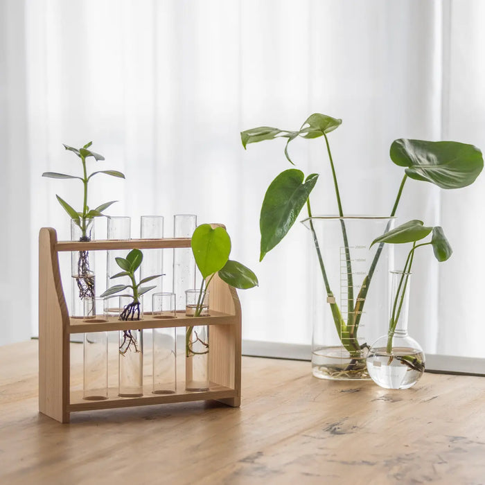 Esschert's Garden Indoor Decor - Plant Test Tube Stand - Large