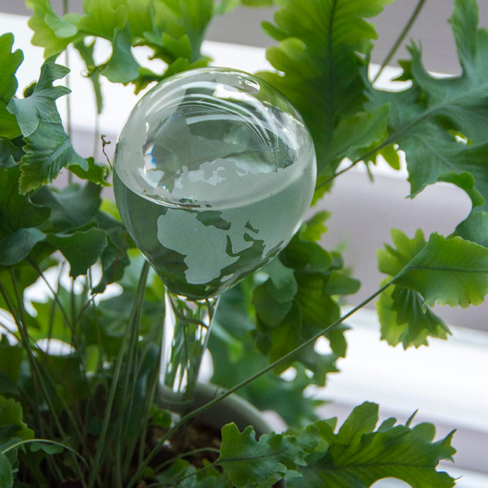 glass plant watering globes uk Glass Plant Waterering Globe (Earth Print) — Gardening Gifts Co