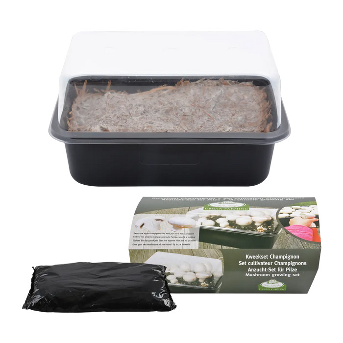 Esschert's Garden Plant & Herb Growing Kits - Mushroom Grow Set - White Button