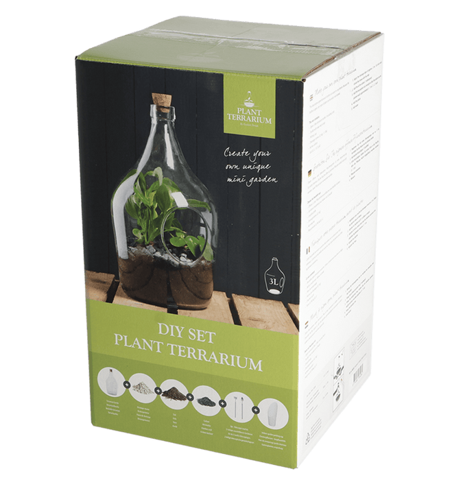 terrarium plant kit uk DIY Plant Terrarium Kit with 3 Litre Open Bottle — Gardening Gifts Co