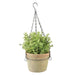 Esschert's Garden Pots & Planters - Hanging Aged Terracotta Pot