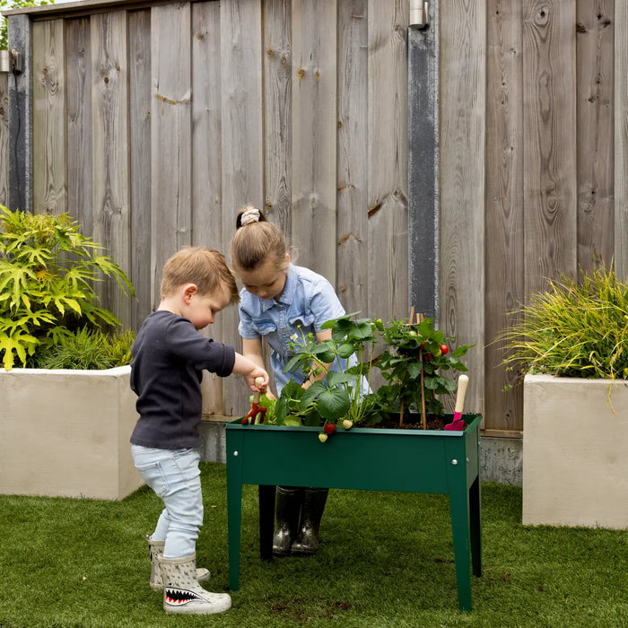 Esschert's Garden Pots & Planters - Metal Raised Planter - Small