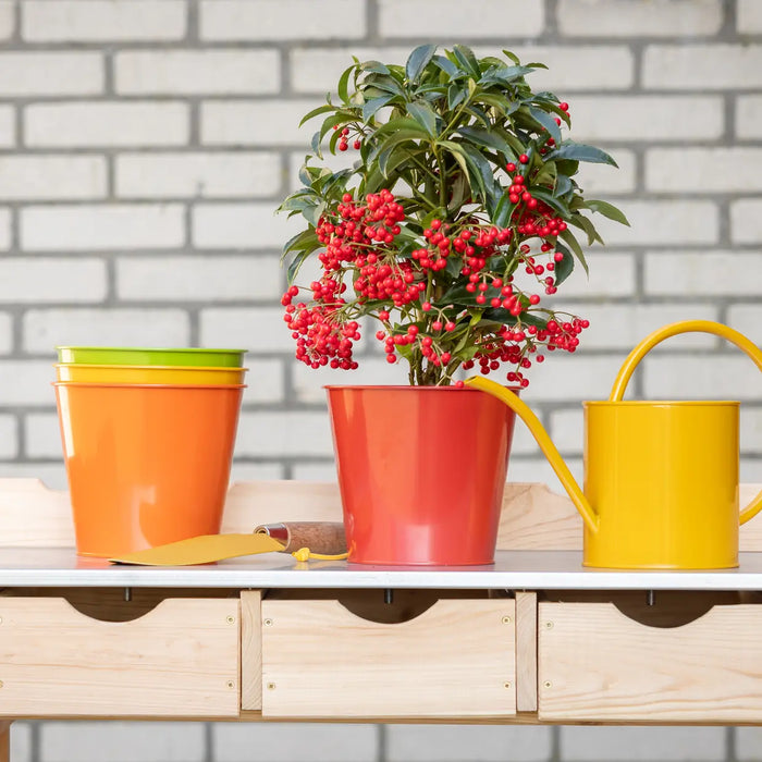 Esschert's Garden Pots & Planters - Shades of Nature - Flower Pots