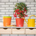 Esschert's Garden Pots & Planters - Shades of Nature - Flower Pots