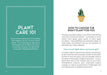 Felicity Hart Books - The Little Book For Plant Parents