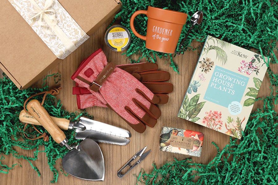 Our Hampers - A Gift Beyond the Gift