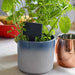 Gardening Gifts Co. Garden Essentials - Square Slate Plant Marker Set