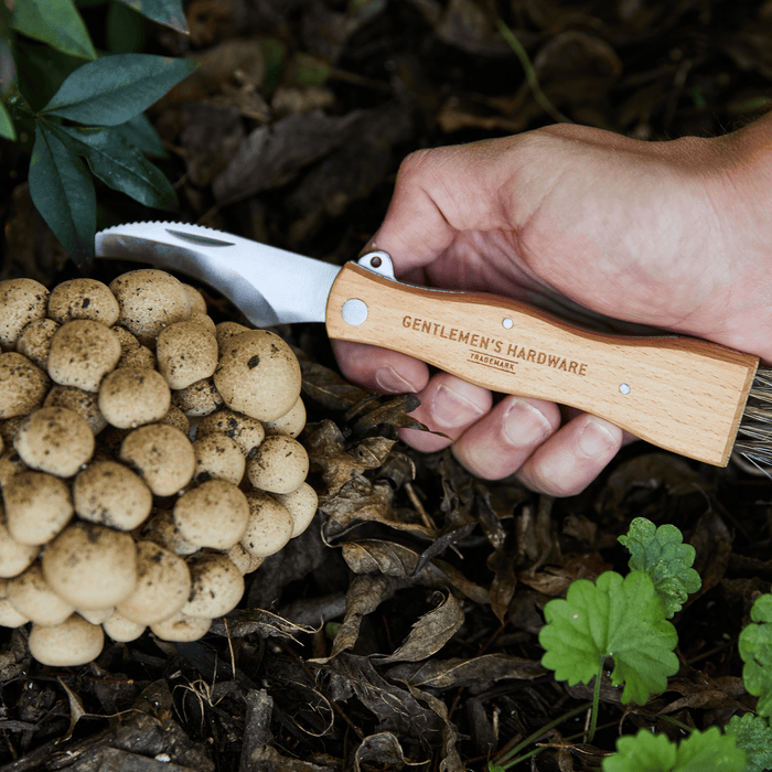 Gentlemen's Hardware Garden Tools & Equipment - Foraging Knife