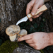 Gentlemen's Hardware Garden Tools & Equipment - Foraging Knife