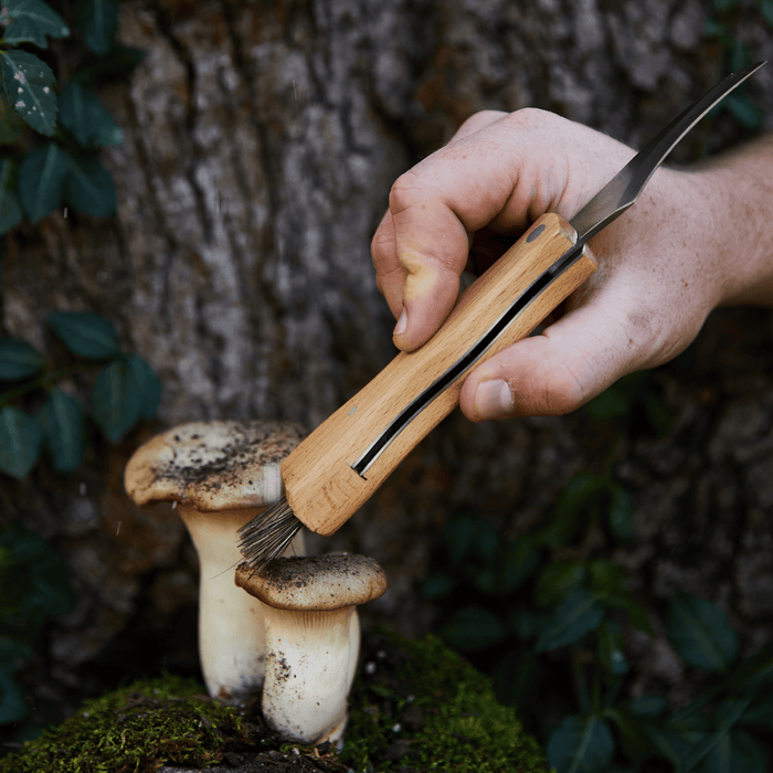 Gentlemen's Hardware Garden Tools & Equipment - Foraging Knife