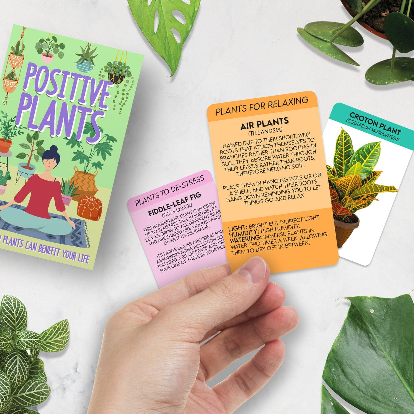 Gift Republic Positive Plants - Card Pack — Gardening Gifts Co.