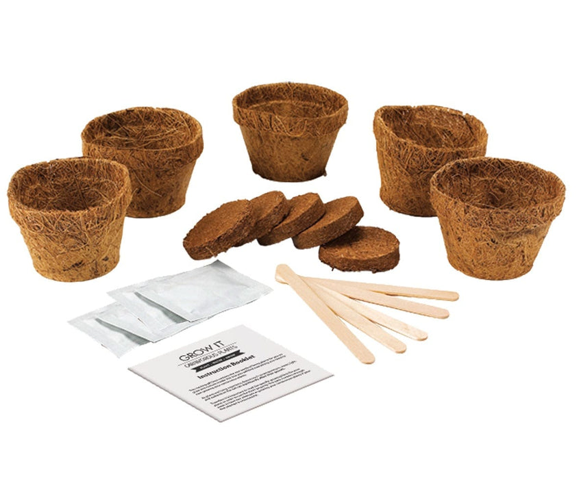 gift republic grow it bonsai tree Gift Republic Grow Your Own Bonsai Trees