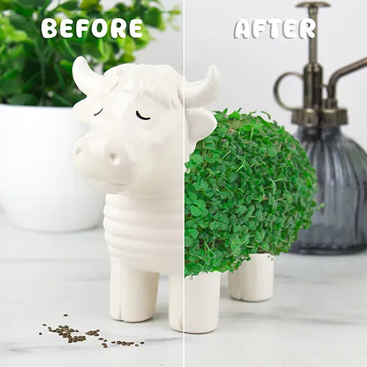 Gift Republic Plant & Herb Growing Kits - Highland Cow Chia Planter