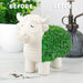 Gift Republic Plant & Herb Growing Kits - Highland Cow Chia Planter