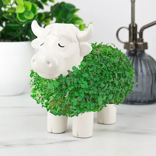 Gift Republic Plant & Herb Growing Kits - Highland Cow Chia Planter