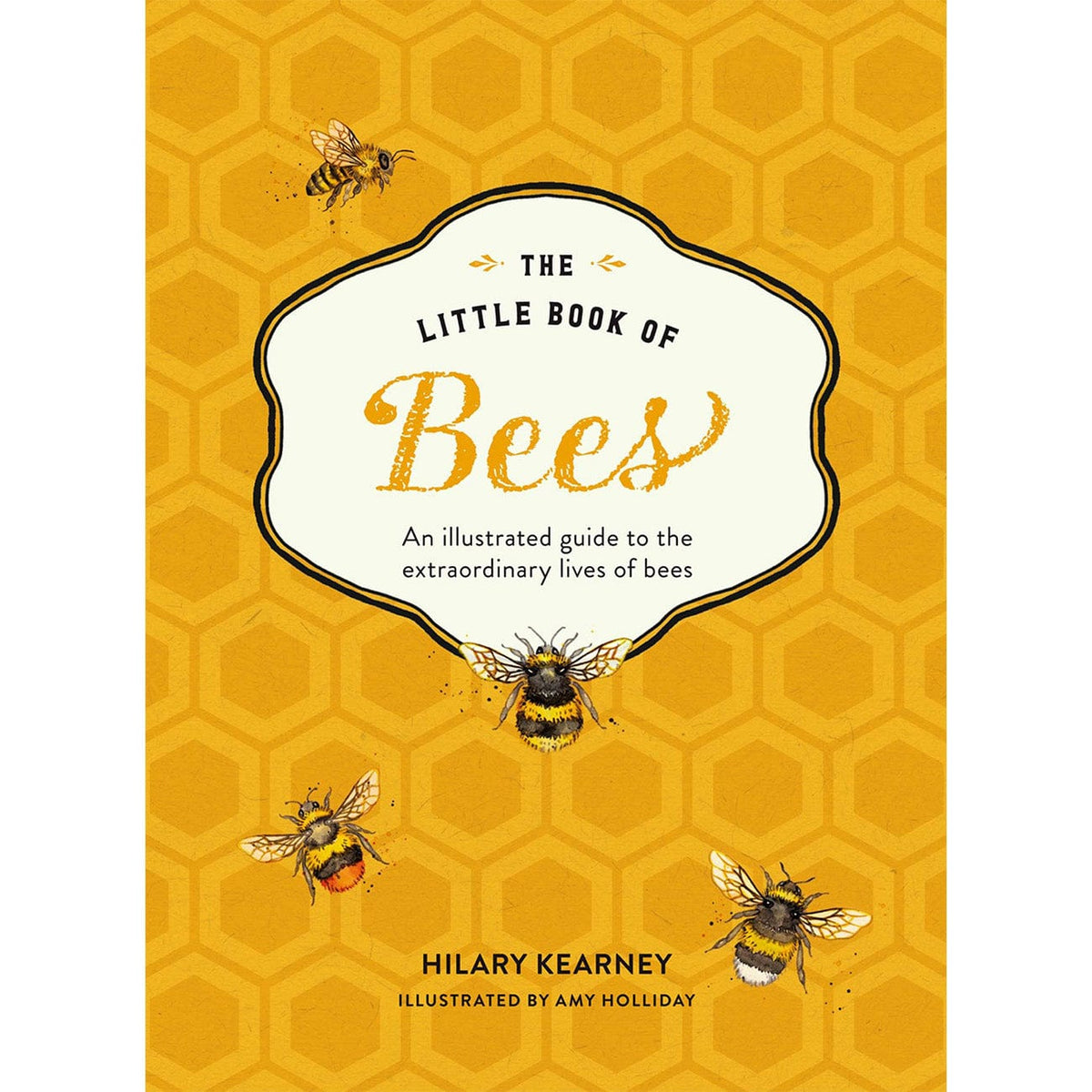 The Little Book Of Bees: An illustrated guide to the extraordinary liv ...