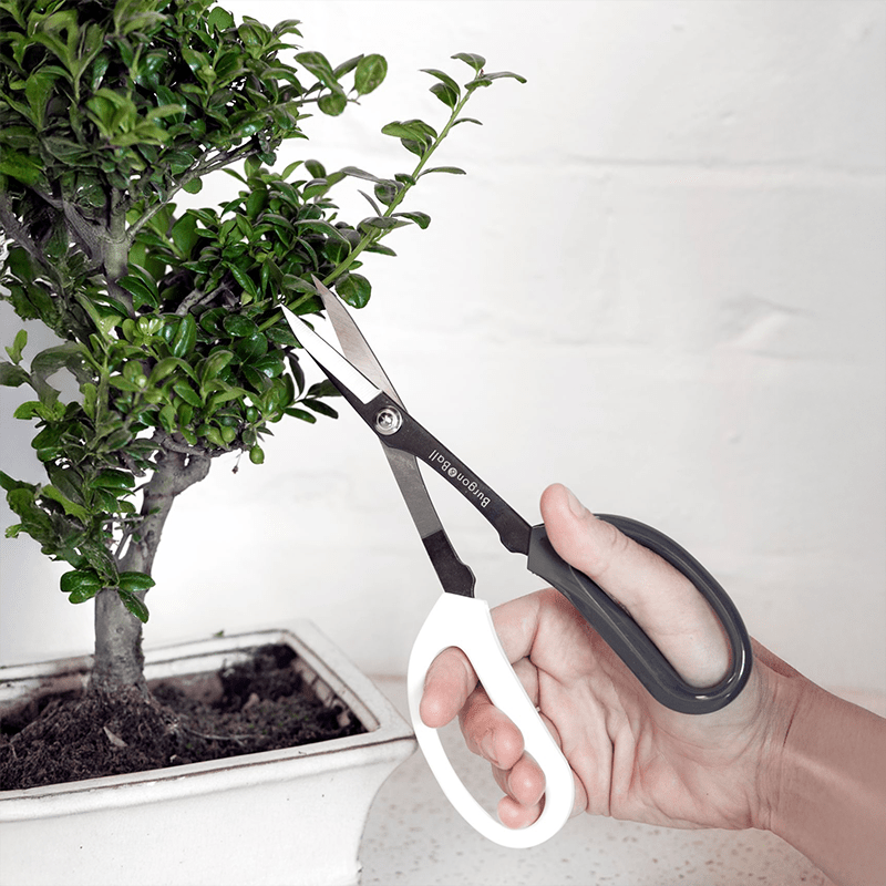 Japanese Pruning Scissors, Burgon & Ball