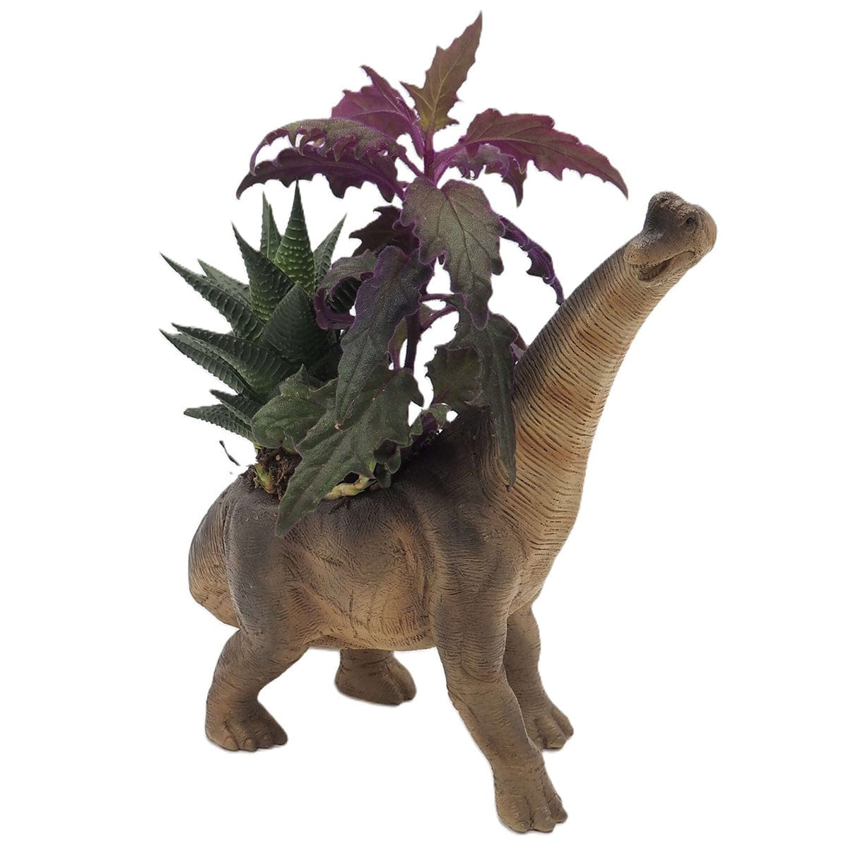 Brachiosaurus Pot Buddy - Blumentopfaufhänger Deko, Frostsicher, Handbemalt