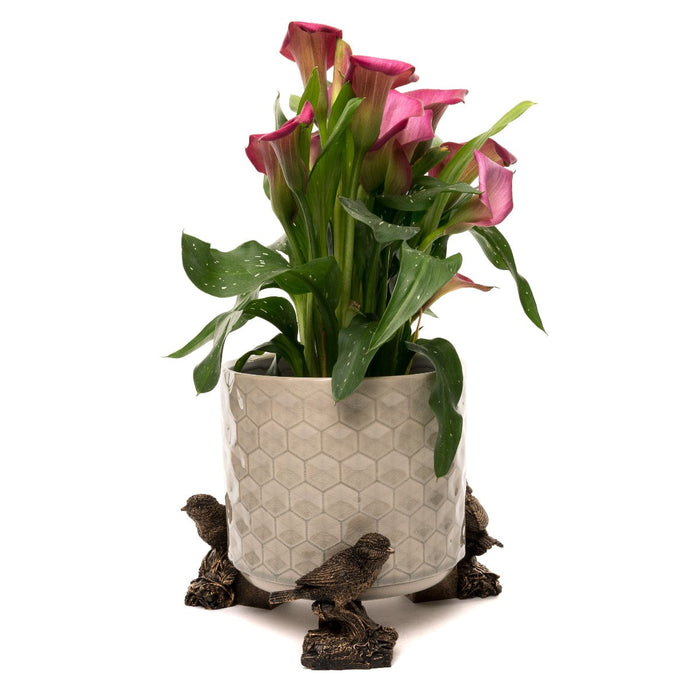Jardinopia Plant Pot Accessories - Plant Pot Feet - Bronze Blue Tit on Log