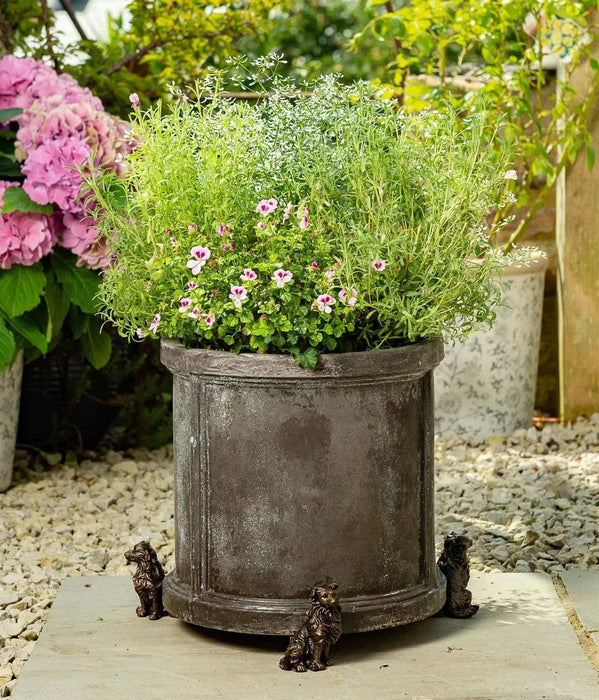 Jardinopia Plant Pot Accessories - Plant Pot Feet - Bronze Border Collie