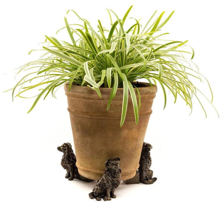 Jardinopia Plant Pot Accessories - Plant Pot Feet - Bronze Border Collie